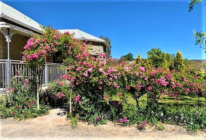 Casa de Férias Jack Of The Karoo Sutherland